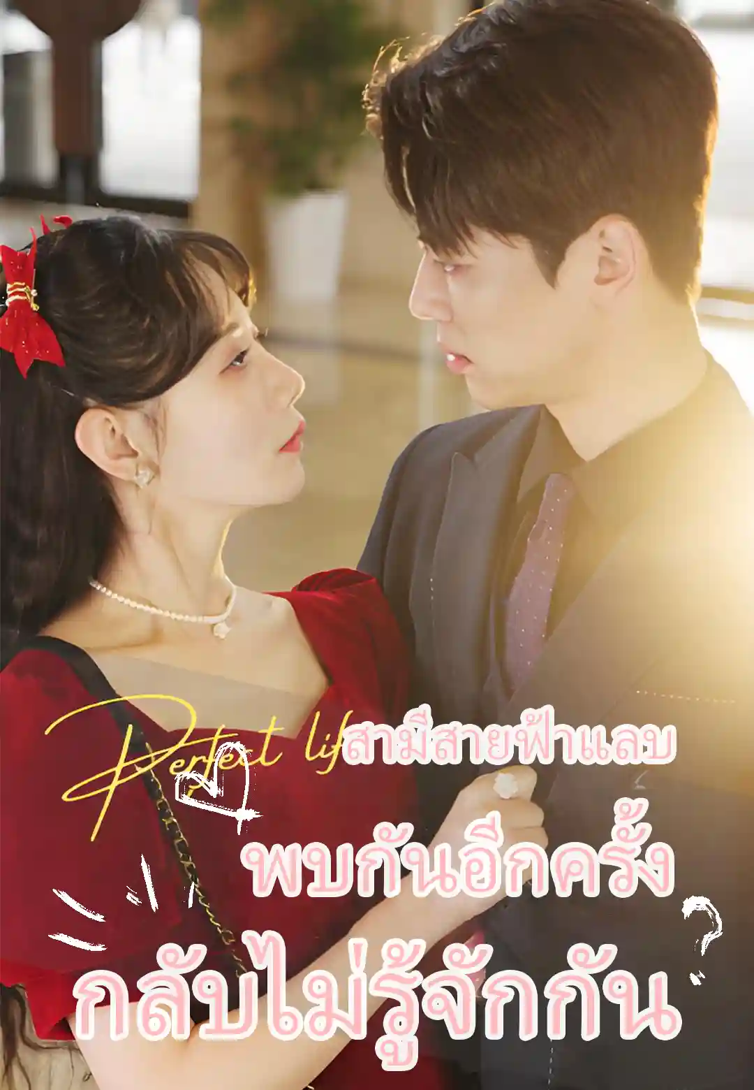 สามีสายฟ้าแลบ พบกันอีกครั้งกลับไม่รู้จักกัน